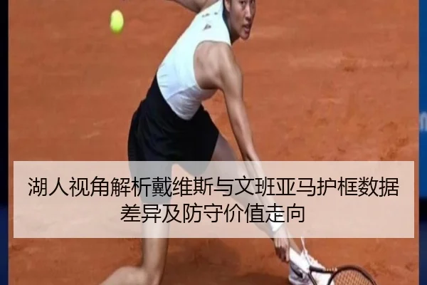 湖人视角解析戴维斯与文班亚马护框数据差异及防守价值走向