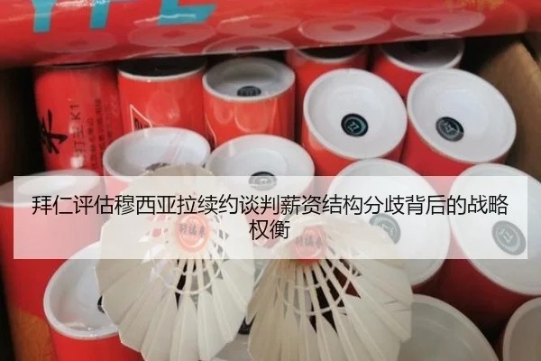img_1782583919608_512_1_709.jpg